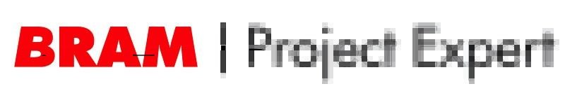 Bram Project Expert - logo